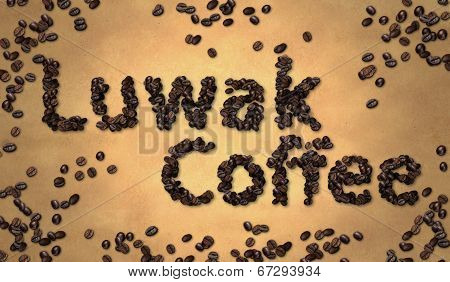 Luwak Coffee Coffee Bean on Old Paper