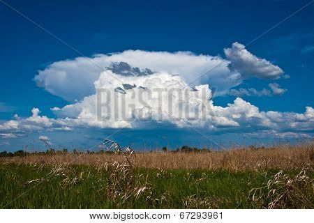 Landscape With Cloud