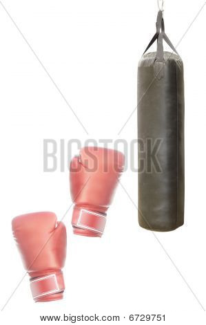 Boksebold