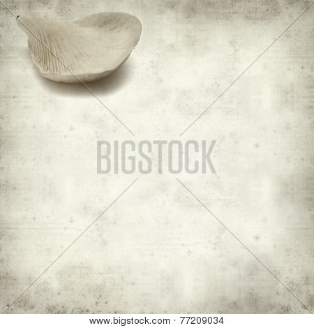 Textured Old Paper Background
