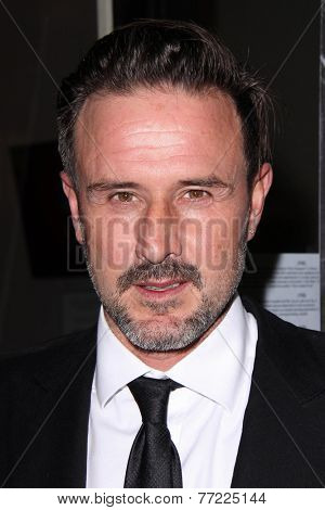 LOS ANGELES - NOV 21:  David Arquette at the 