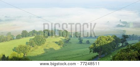 Morning Mist In Berkeley Vale