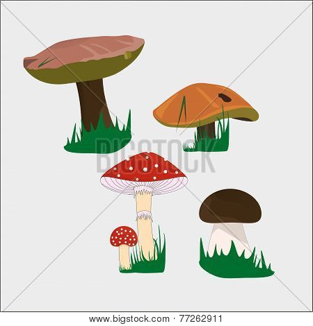 mushrooms