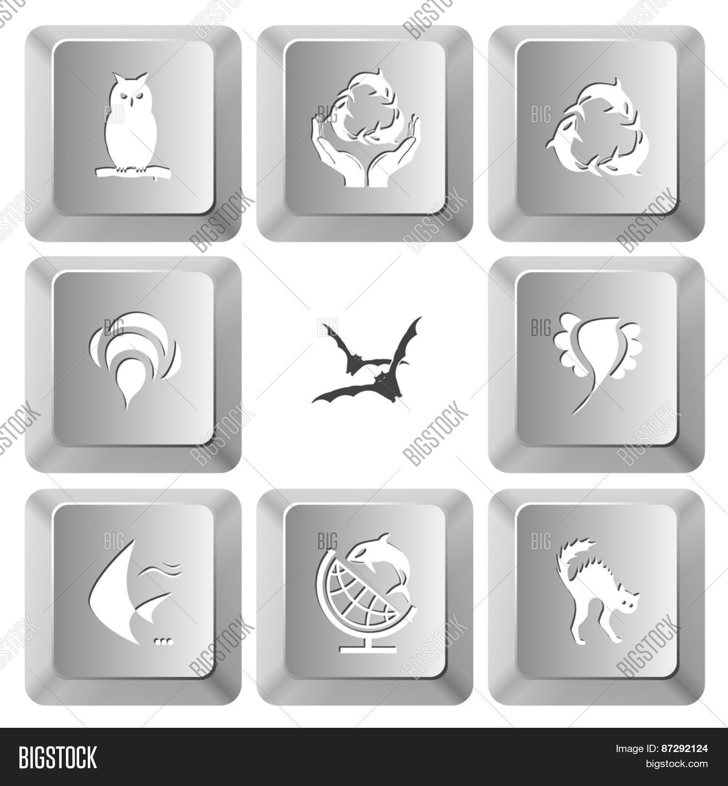 Animal Set. Raster Set Image & Photo (Free Trial) | Bigstock