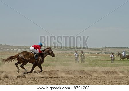 Horse races
