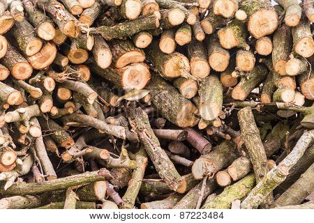 Wood Logs Background