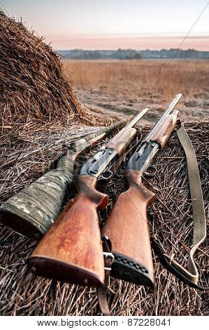 Hunting shotguns on haystack while halt