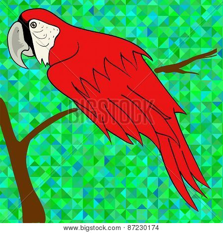 Big Red Parrot