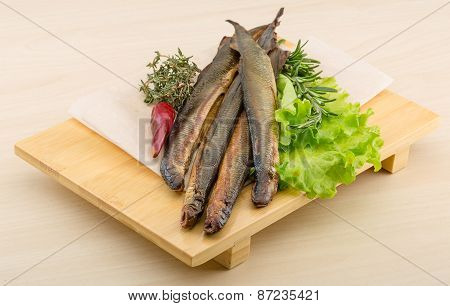 Lamprey