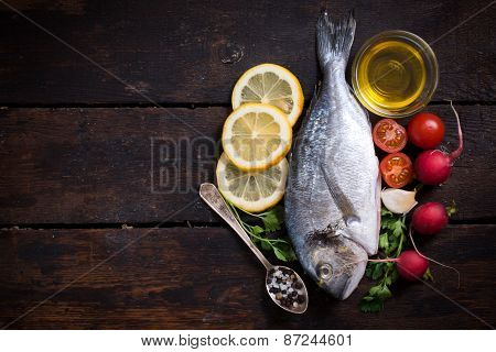 Gilthead Fish And Blank Space