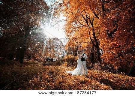 Beautiful Couple Walking