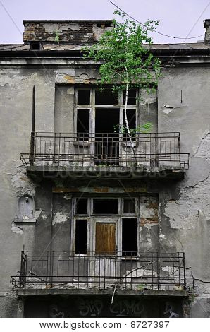 Træ på den gamle balkon