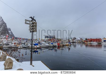 World championship in arctic cod fishing.