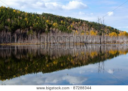 Autumn Landscape