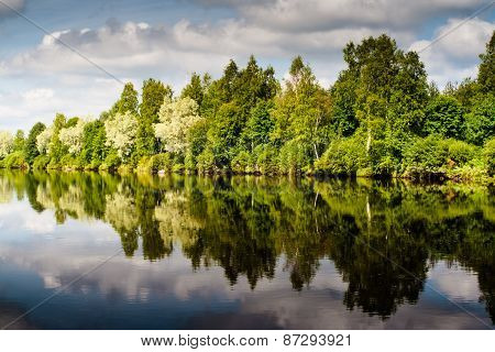 Forest Reflections On The River