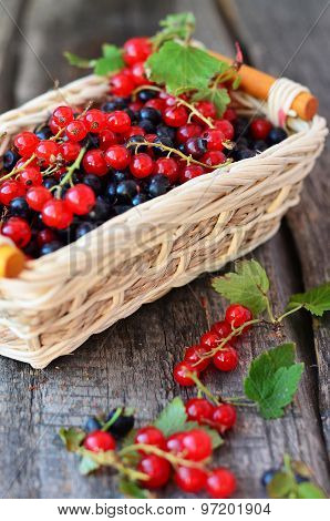 Little basket with redcurrant and blackberries on the old wooden table