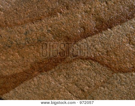 Seastone bagnato