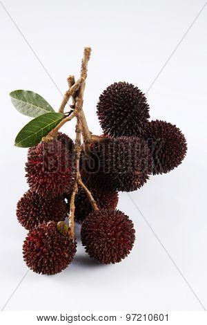 pulasan  thick skin or wild rambutan on the white background