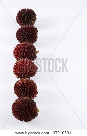 pulasan  thick skin or wild rambutan on the white background