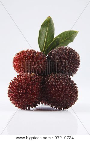 pulasan  thick skin or wild rambutan on the white background