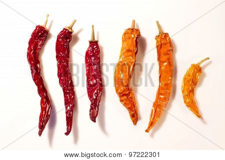 Dried Peppers Isolated