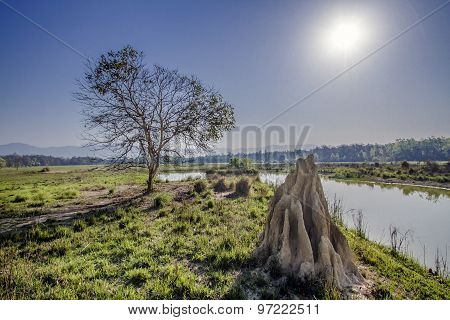 termite mound and river in Bardia national park, Nepal