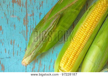 Freshly Picked Ear Of Maize, Sweet Corn Cob