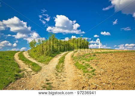 Countryside Path Intersection View In Green Nature