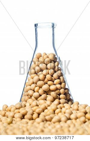 Soybean Genetically Modified, Plant Cell