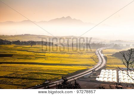 Beautiful landscape rapeseed field or canola flower field in spring, Luoping in China