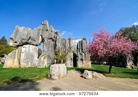 Stone forest in spring in Kunming, China