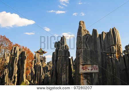 Stone forest in spring in Kunming, China