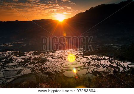 Terraced rice field in water season in sunrise in YuanYang, Yunnan, China