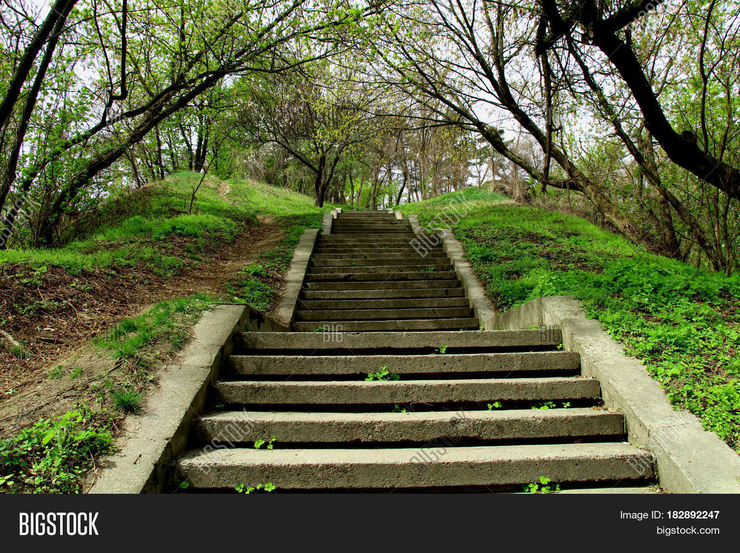 Steps Down. Original Image & Photo (Free Trial) | Bigstock