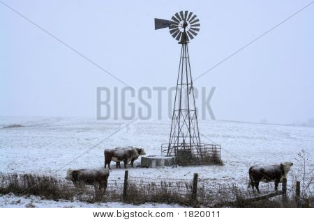 Neve che cade in fattoria