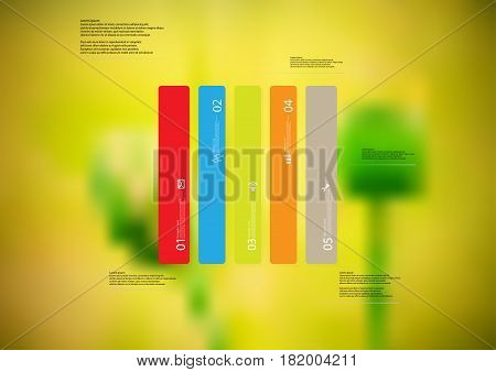 Illustration infographic template with motif of rectangle vertically divided to five standalone color sections. Blurred photo with natural motif of green poppy plants is used as background.