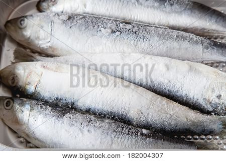 Frozen Sardines. Cornish. For Grill And Bbg. Dark Background.
