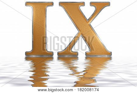 Roman Numeral Ix, Novem, 9, Nine, Reflected On The Water Surface, Isolated On  White, 3D Render