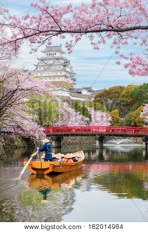 Himeji Castle with beautiful cherry blossom in spring season at Hyogo near Osaka Japan. Himeji Castle is famous cherry blossom viewpoint in Osaka Japan.