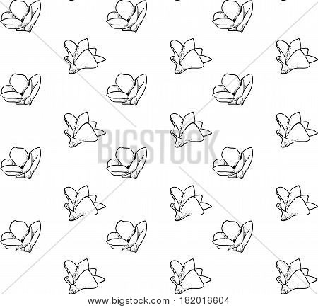 Vector Black Decorative Seamless Backdround Pattern with Drawn Flowers, Blossom, Plants. Doodle Style Greenery, Lush Foliage, Foliate. Vector Illustration. Pattern Swatch