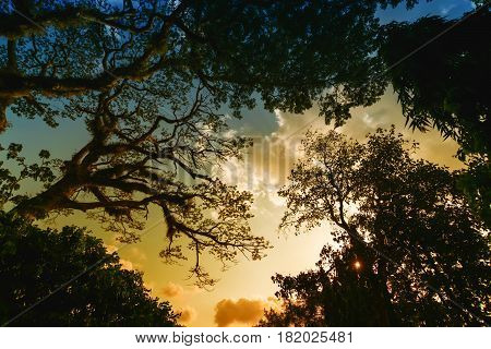 The area of Wat Khu Tao Mae Tom Bang Klam Songkhla Thailand
