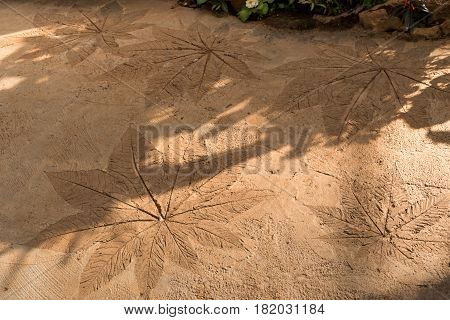 Texture of concrete stamp in leaf detail on the floor in the park Background.