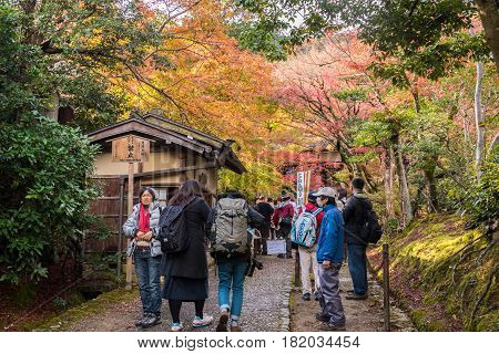 Kyoto Japan - November 26 2015 : Unidentified people visit Jojakko-ji temple in autumn.Jojakko-ji temple is one of the most popular tourist at Arashiyama in high season ( Momiji) Kyoto Japan.