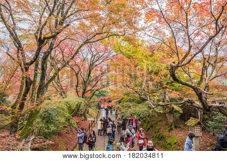 Kyoto Japan - November 26 2015 : Unidentified people visit Jojakko-ji temple in autumn.Jojakko-ji temple is one of the most popular tourist at Arashiyama in high season ( Momiji) Kyoto Japan.