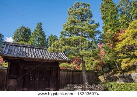 Kyoto Japan - November 27 2015 : The japan garden at Eikando temple in autumn.Eikando temple is one of the most popular tourist at Kyoto in high season ( Momiji) Kyoto Japan.