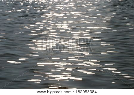 Evening sunlight glimmering on Old Hickory Lake
