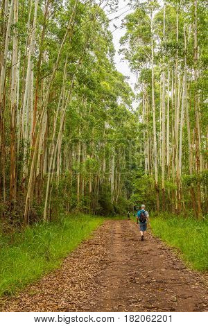 Trekking In Morro Do Gaucho Mountain Landscape