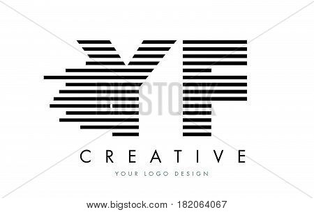 Yf Y F Zebra Letter Logo Design With Black And White Stripes