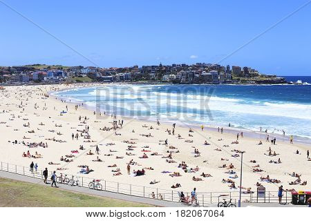 Bondi Beach