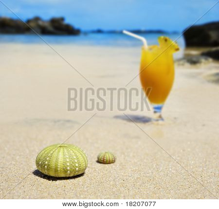 Riccio di mare conchiglie sulla spiaggia con un Cocktail di frutta fresca In Background
